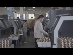 Linha de produção de mola Beishun Brisk