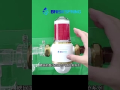 Pré-filtro de malha de grelhas BriskSpring.