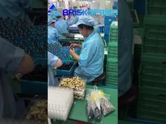 40 100 Microns Casa inteira Spin Down Sedimento Dual Filtração Prefiltro de sedimentos Reutilizável