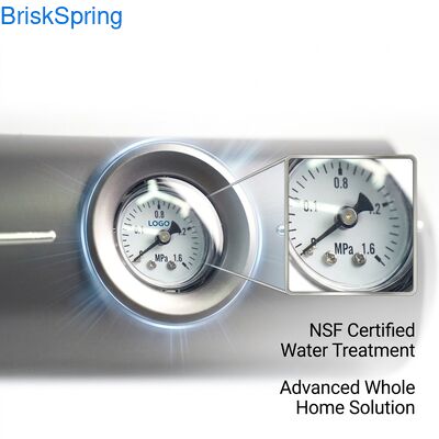 Descalorizador de água de casa inteira de latão 5T/H Fluxo NSF RoHS certificado