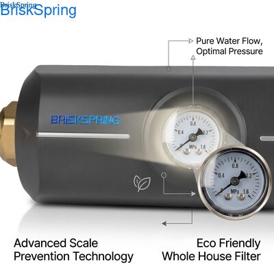 Corpo em ABS não tóxico e ecológico Filtro anti-incrustação Descalcificador de água para toda a casa